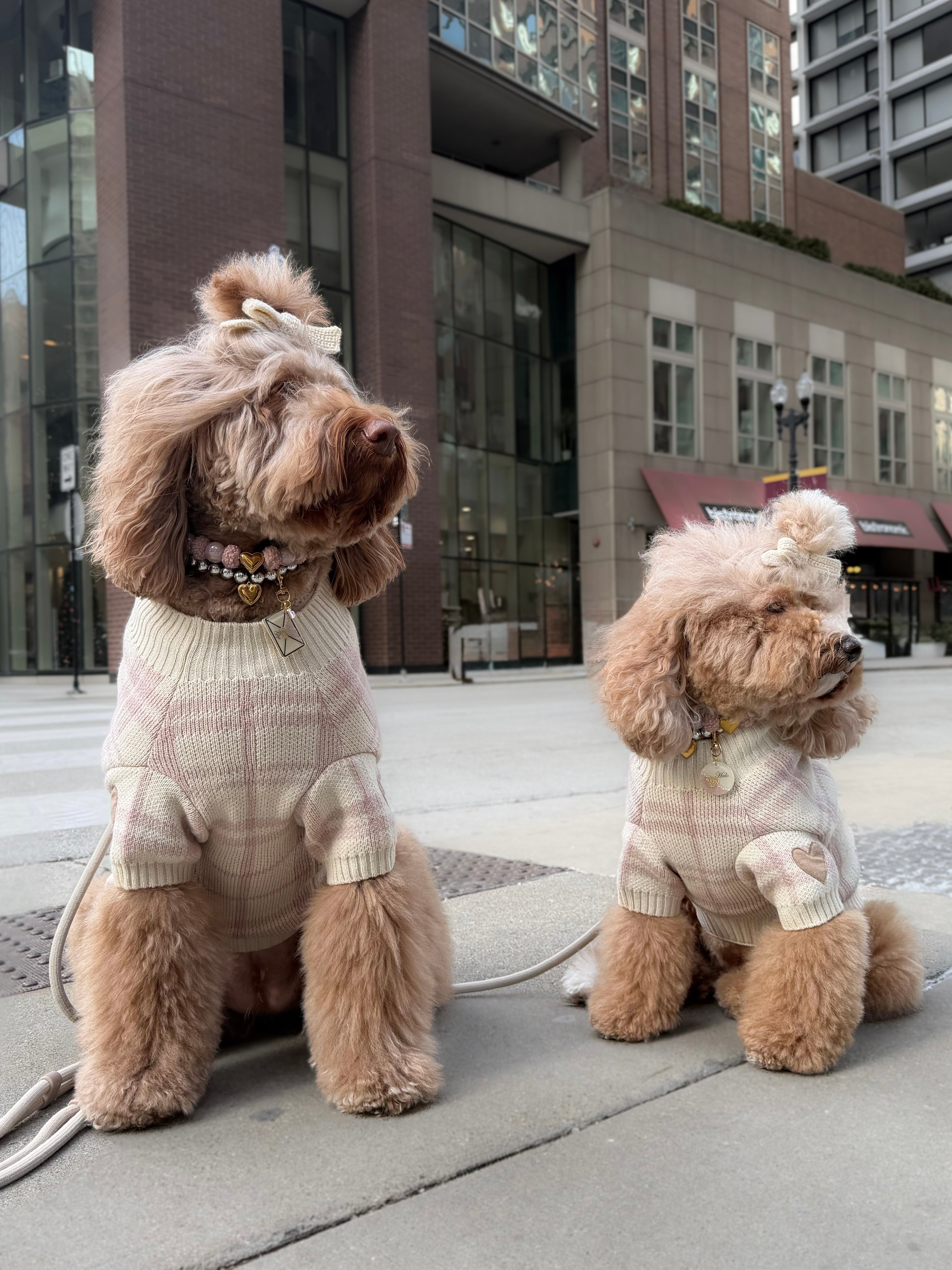 Sweaters – Pawshion by Gigi
