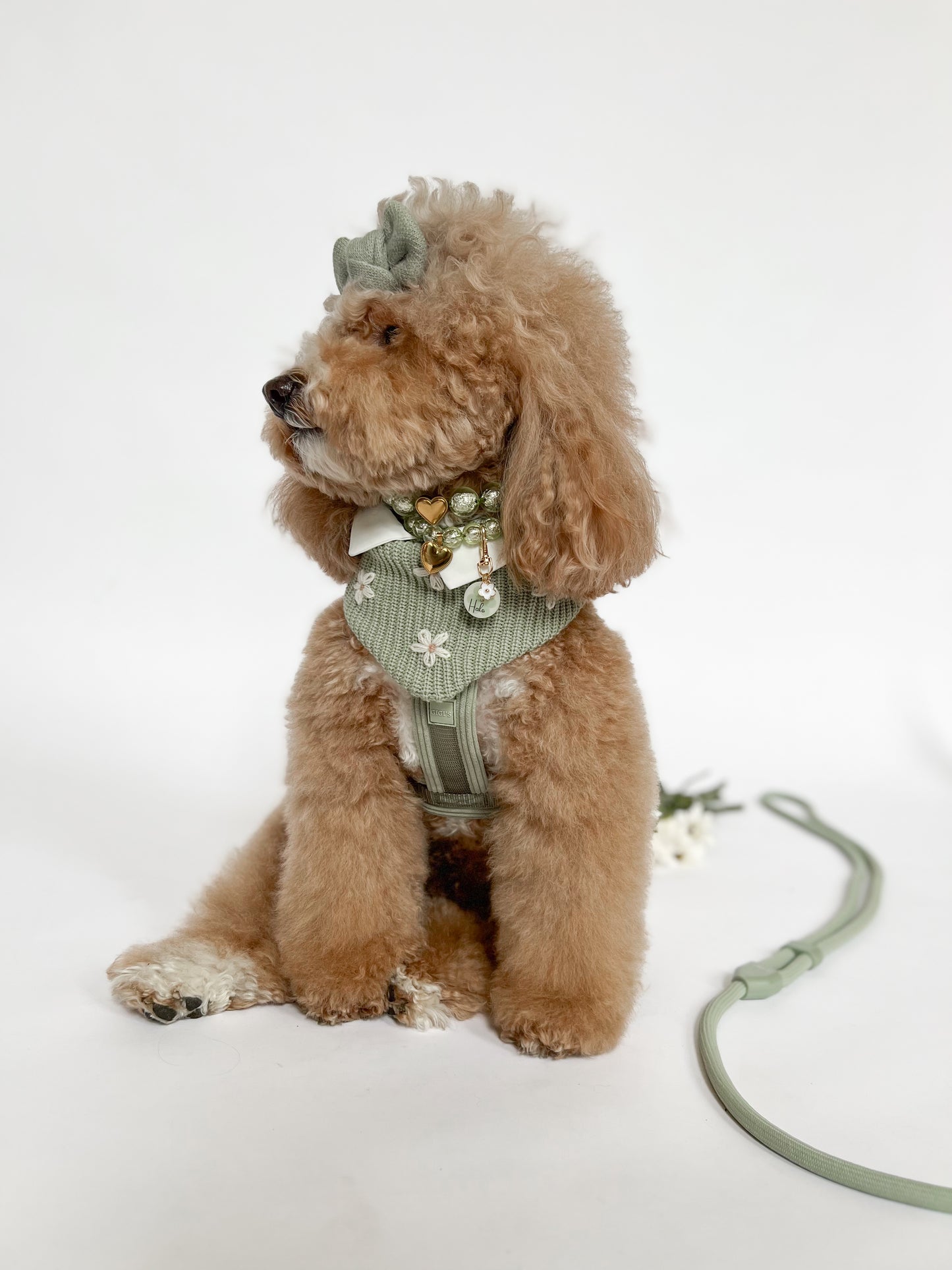 Eloise Sage Reversible Bandana