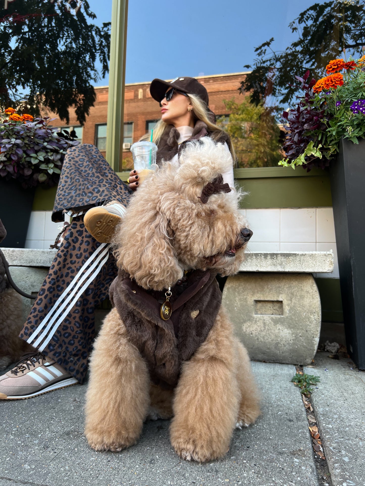 Furlowe Mocha Dog Vest