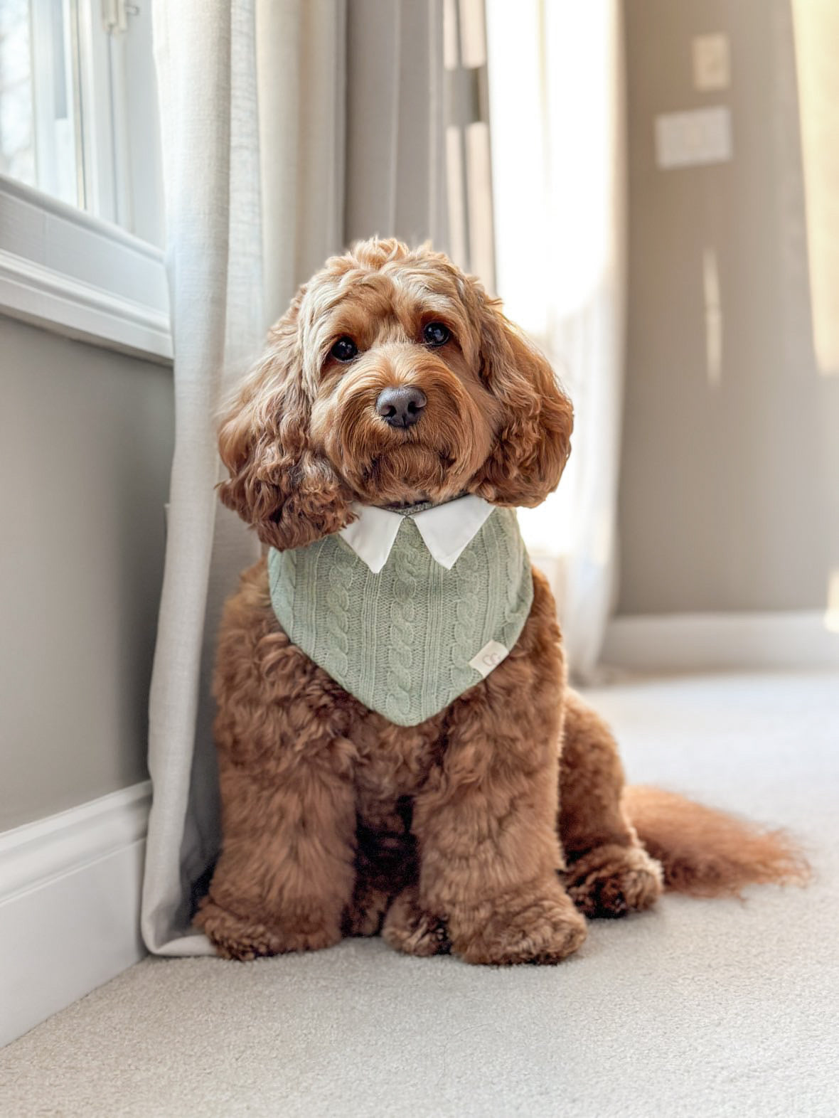 Eloise Sage Reversible Bandana