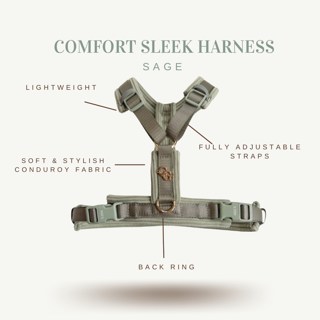 COMFORT SLEEK SAGE HARNESS/LEASH BUNDLE