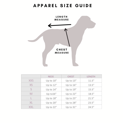 Comfort Teddy Full Cozy Set - Creamy Cloud