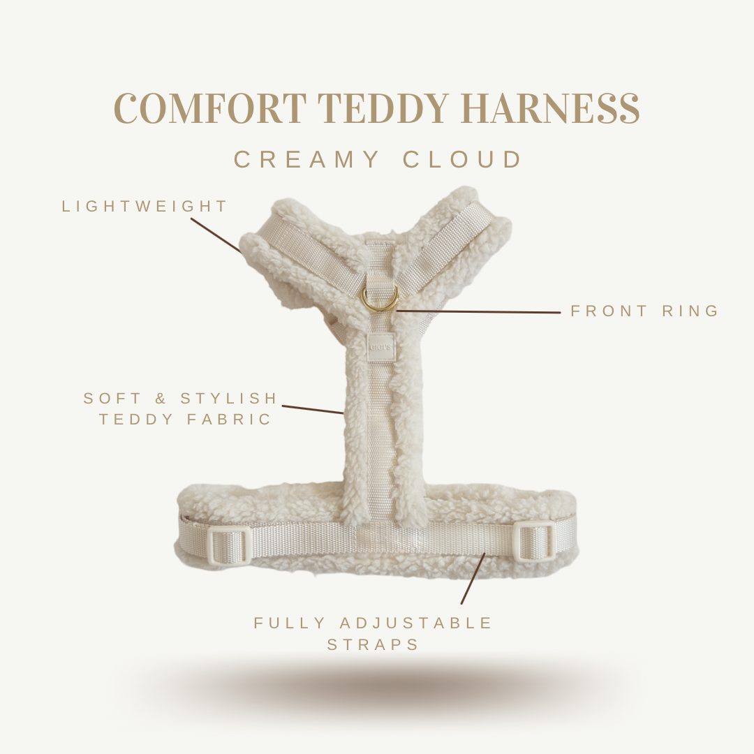 Comfort Teddy Full Cozy Set - Creamy Cloud