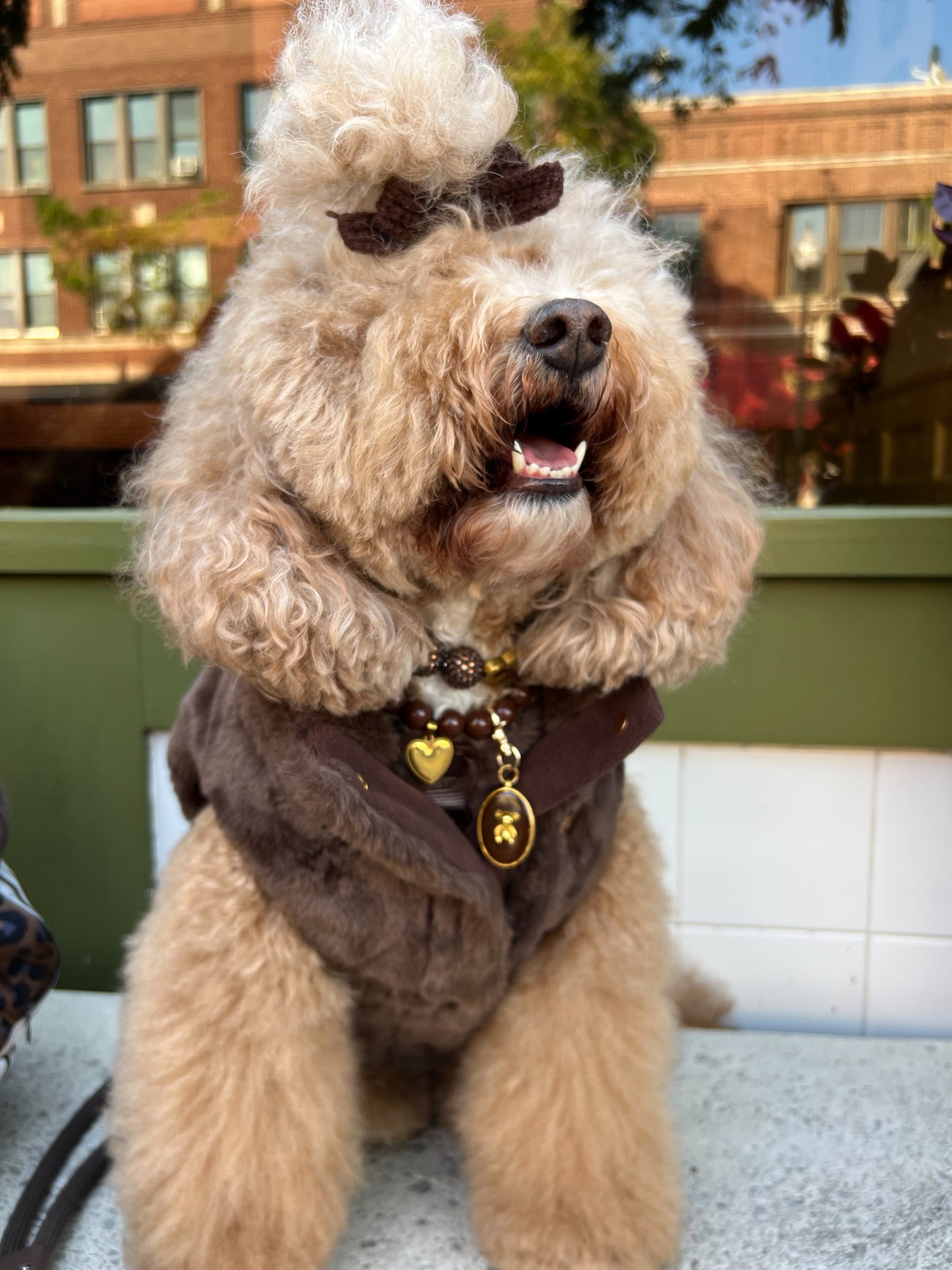 Furlowe Mocha Dog Vest