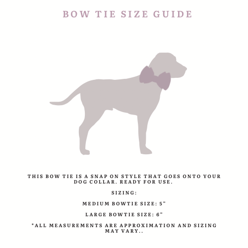 Vanilla Jumbo Bowtie