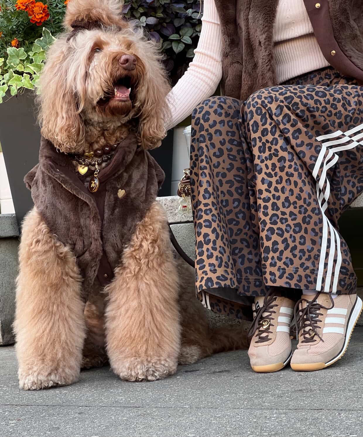 Furlowe Mocha Dog Vest