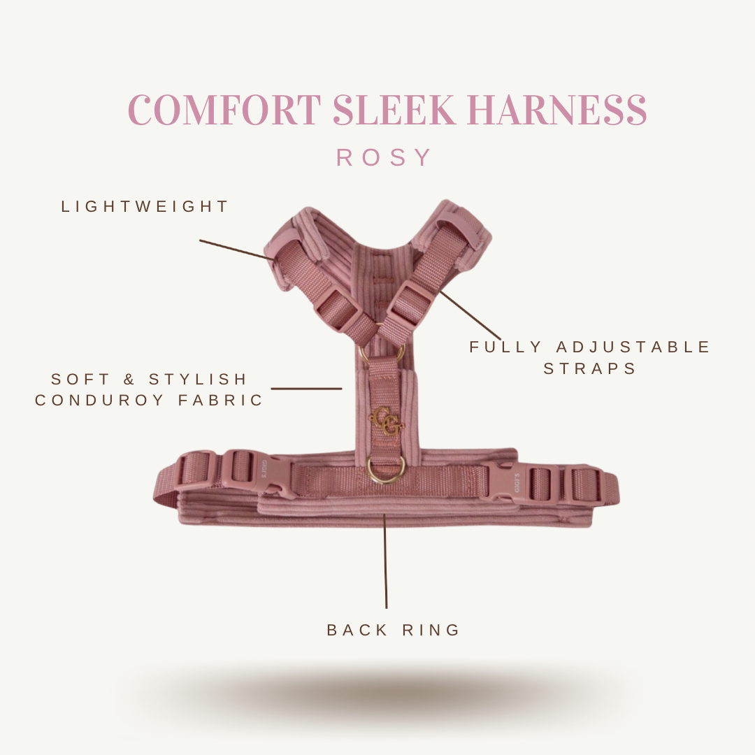 COMFORT SLEEK ROSY HARNESS/LEASH BUNDLE