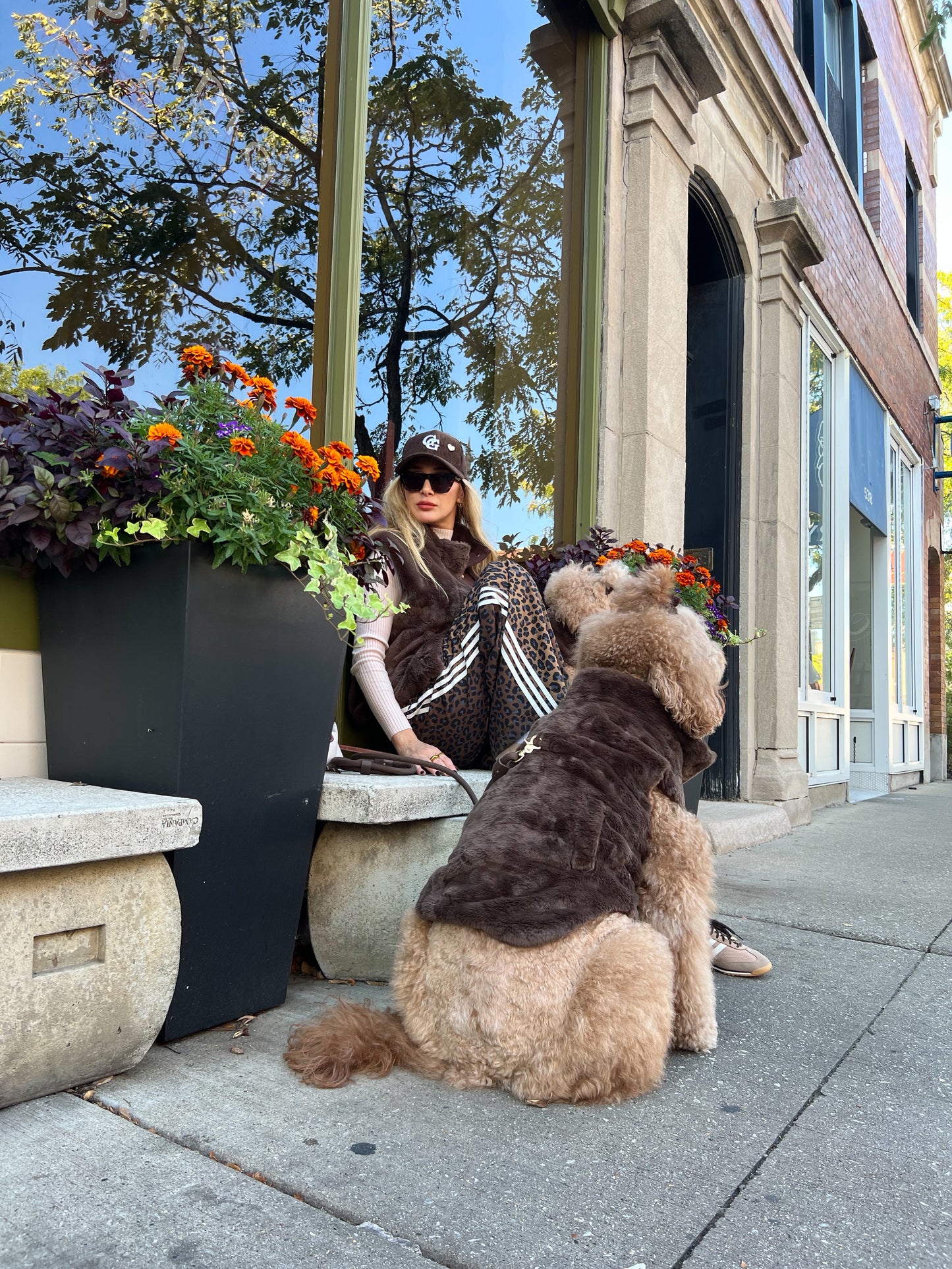 Furlowe Mocha Dog Vest