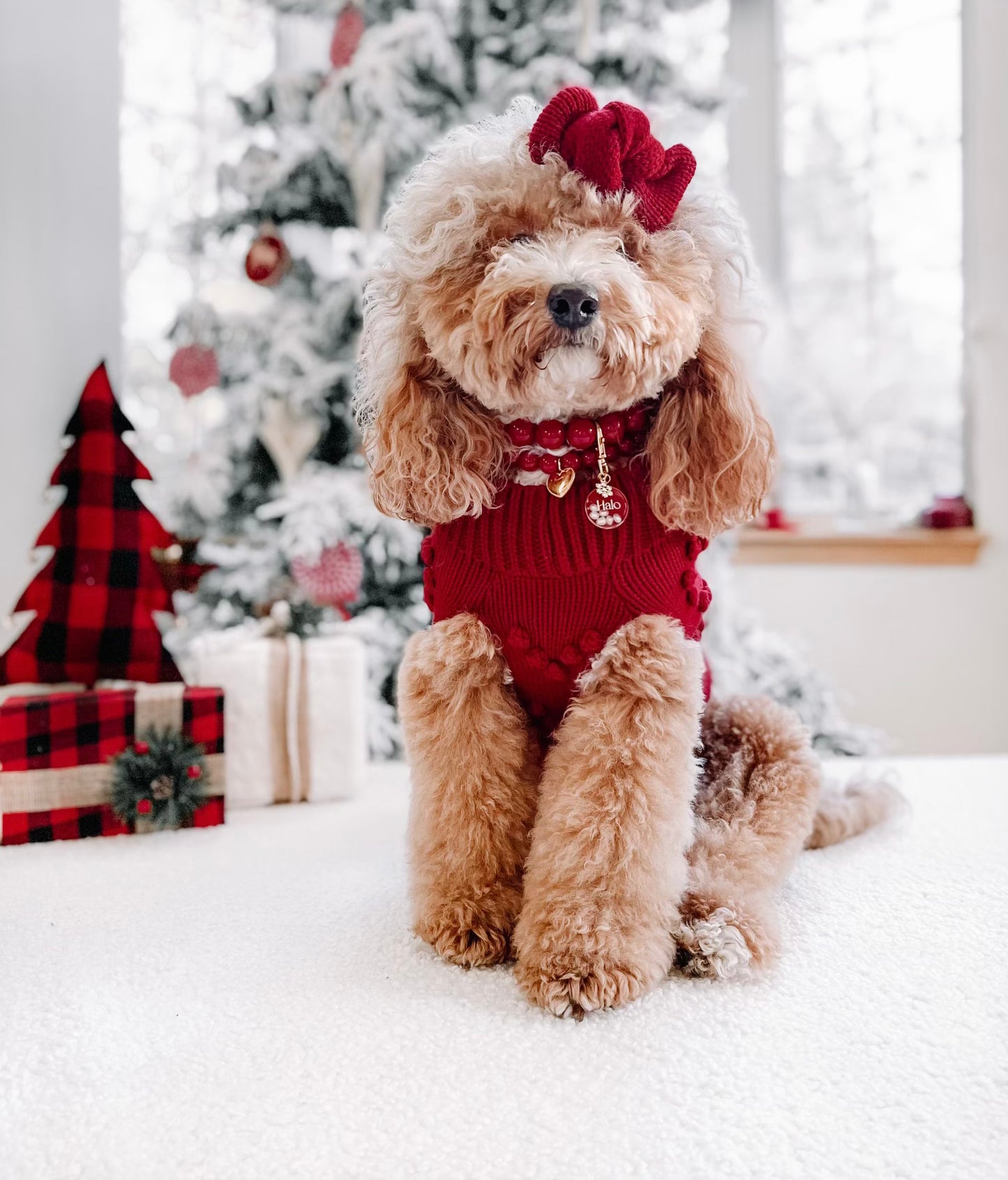 Red Velvet Sweater