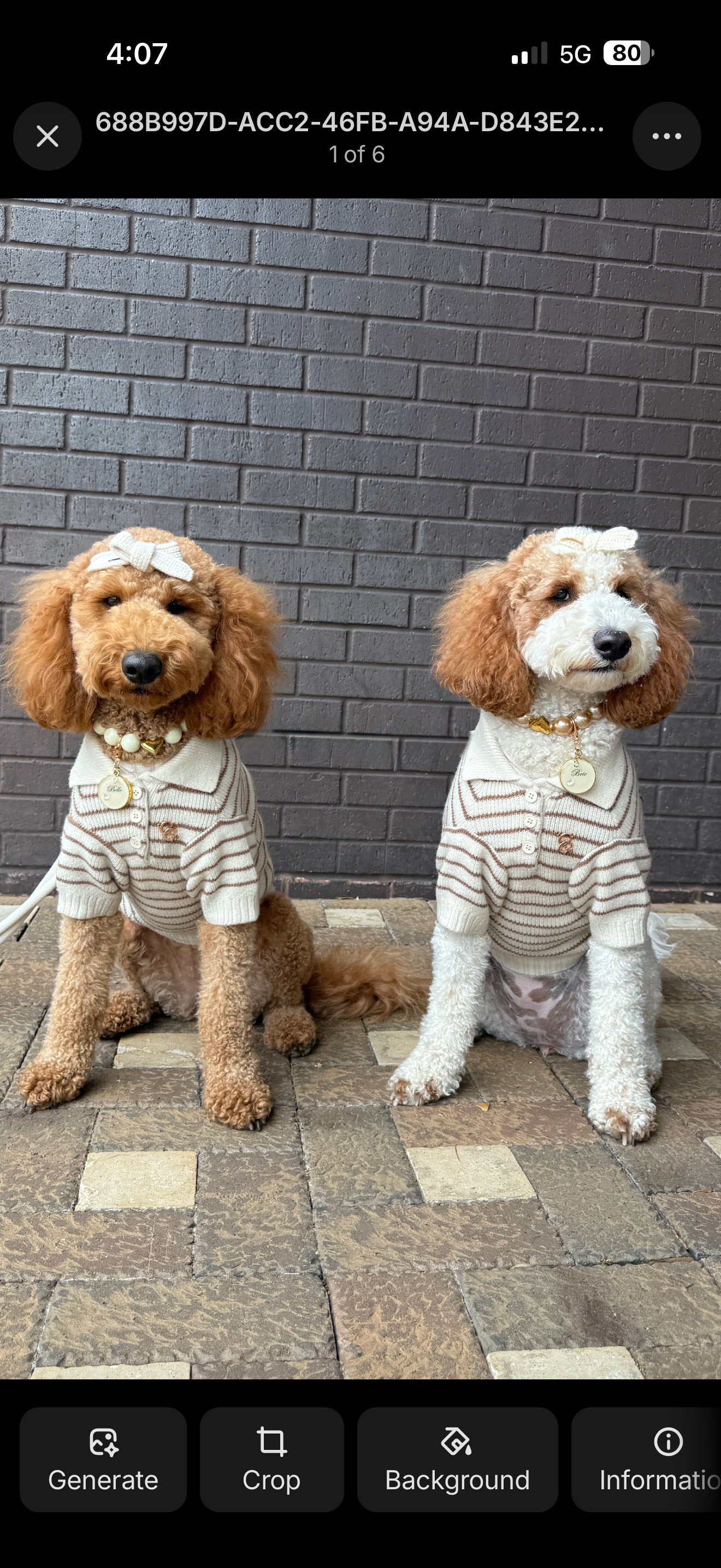 The Wardrobe – Pawshion by Gigi