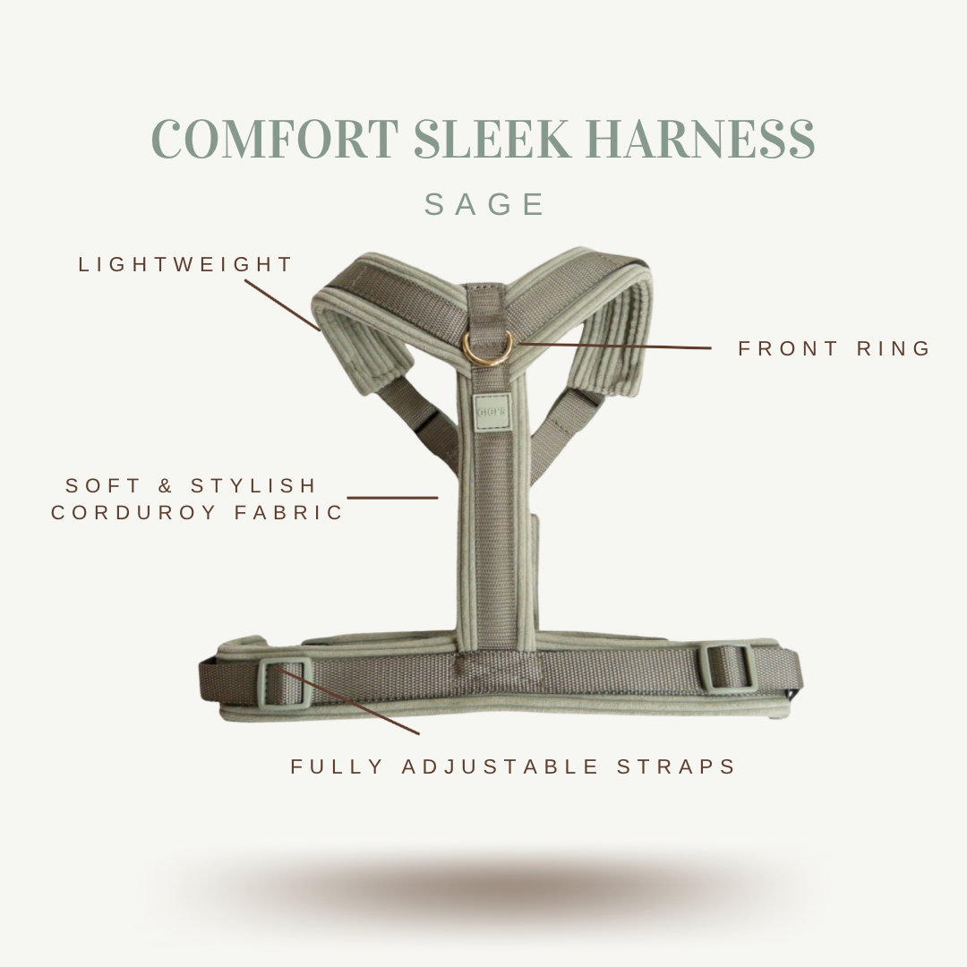 Comfort Sleek Sage Harness/Leash Bundle