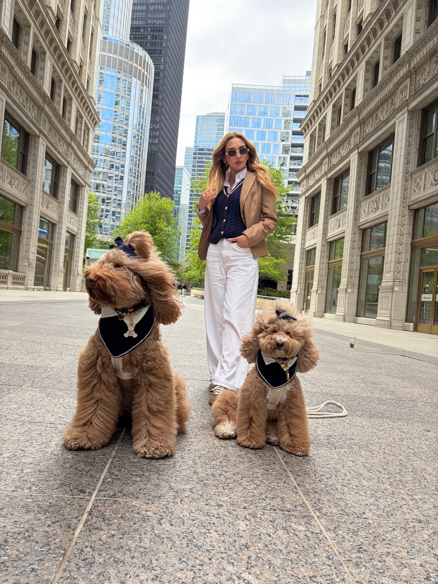 Rhodes Matching Dog Bandana & Women’s Knit Vest Set - Navy
