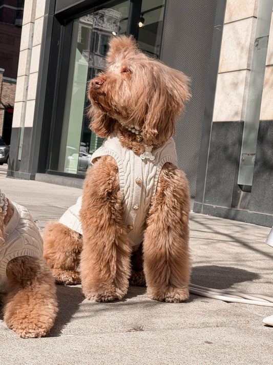 Ellis Dog Knit Vest- Soft Oat