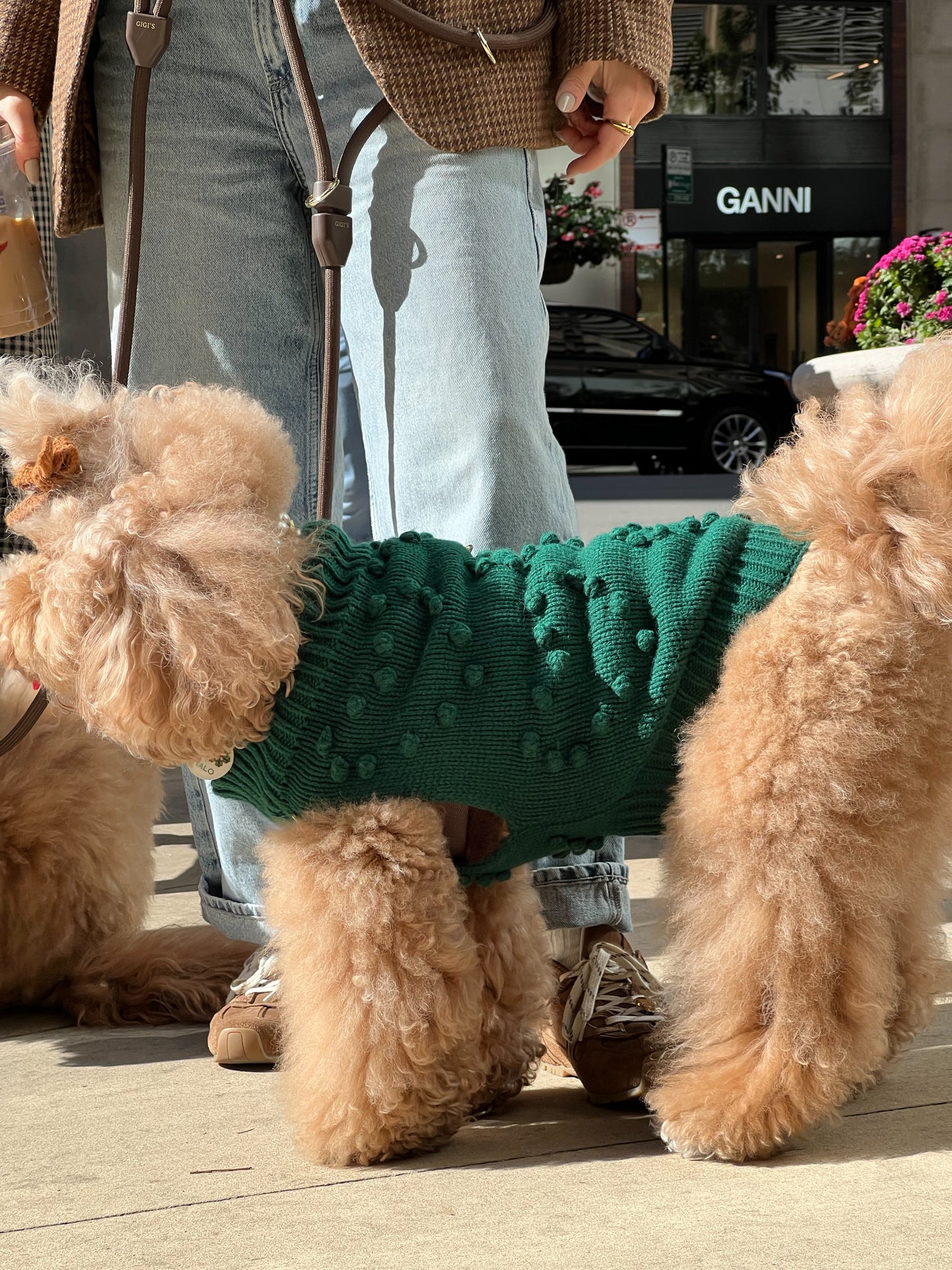 Evergreen Knit Dog Sweater