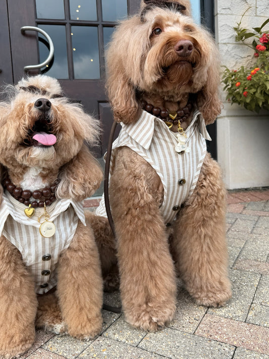 Siena Linen Dog Shirt - Toffee
