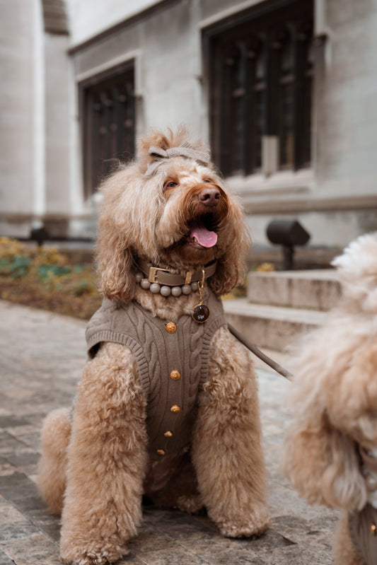 Ellis Dog Knit Vest- Mushroom