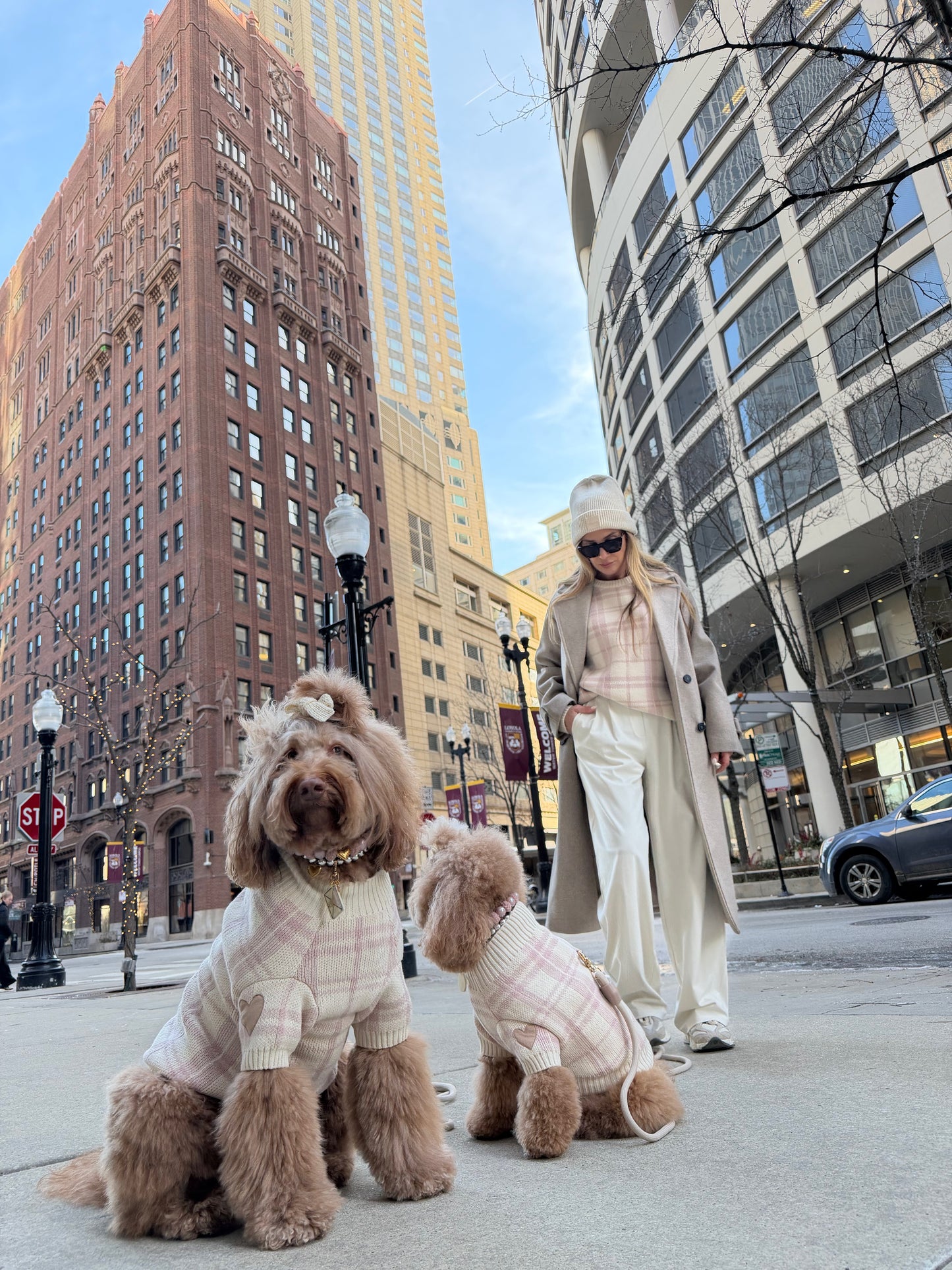 Hearthmauve Sweater Set