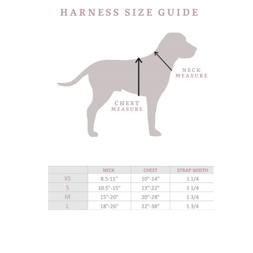 Comfort Teddy Toffee Harness