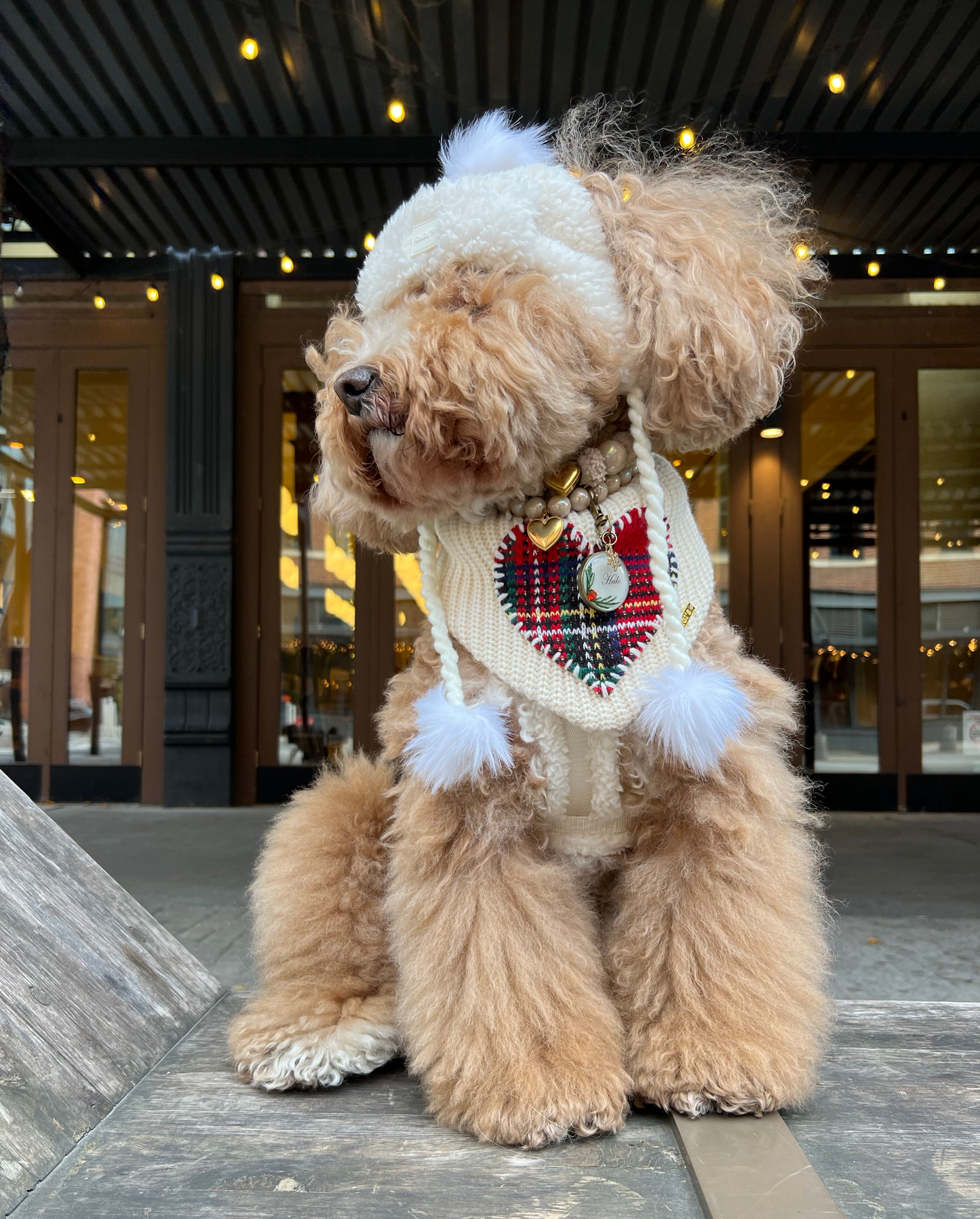 Merry Tartanette Bandana