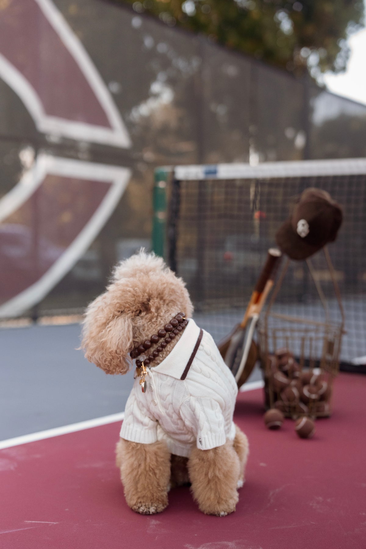 Astor Dog Knit Polo - Ivory
