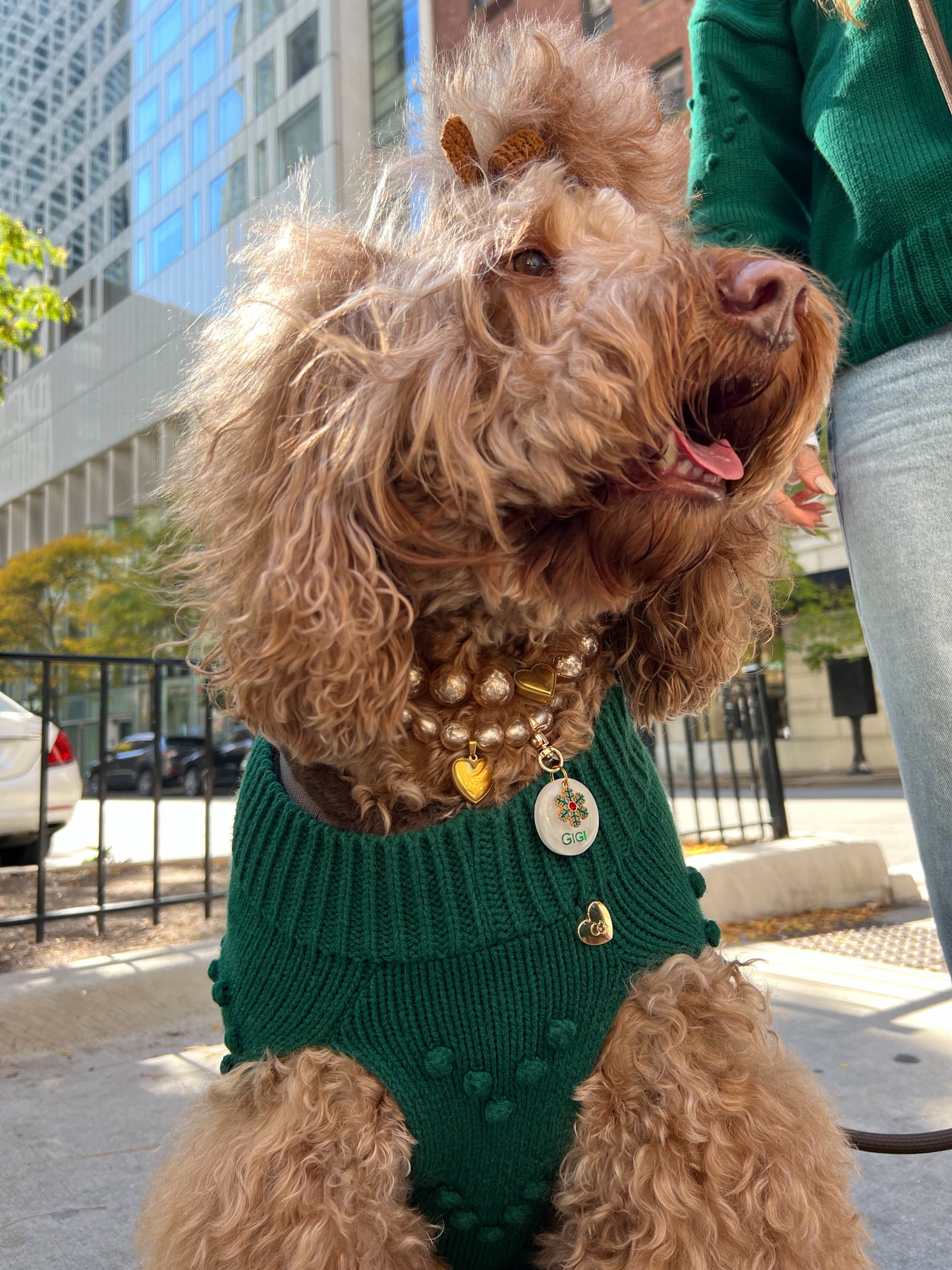 Evergreen Knit Dog Sweater