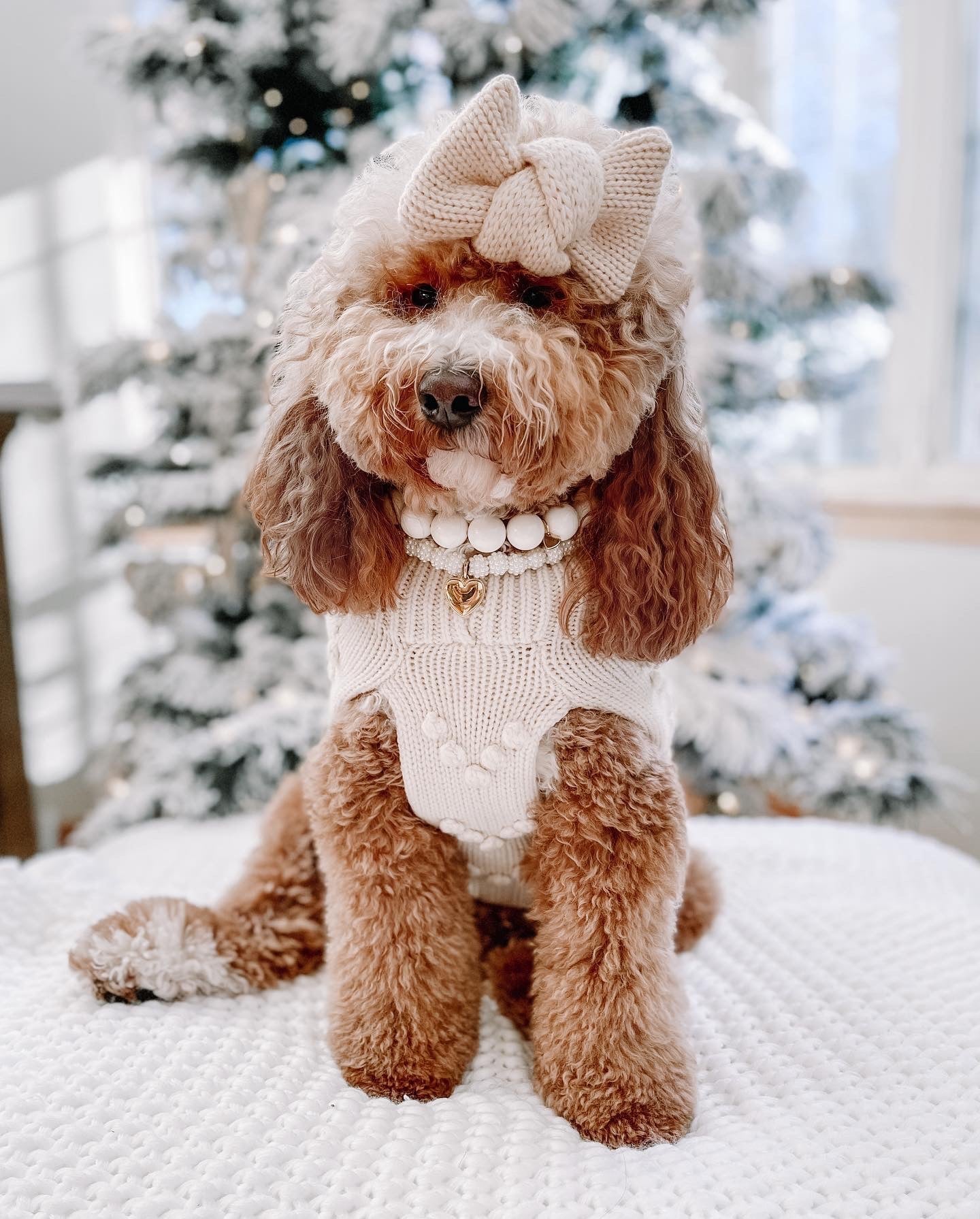 Vanilla Sugar Cookie Sweater