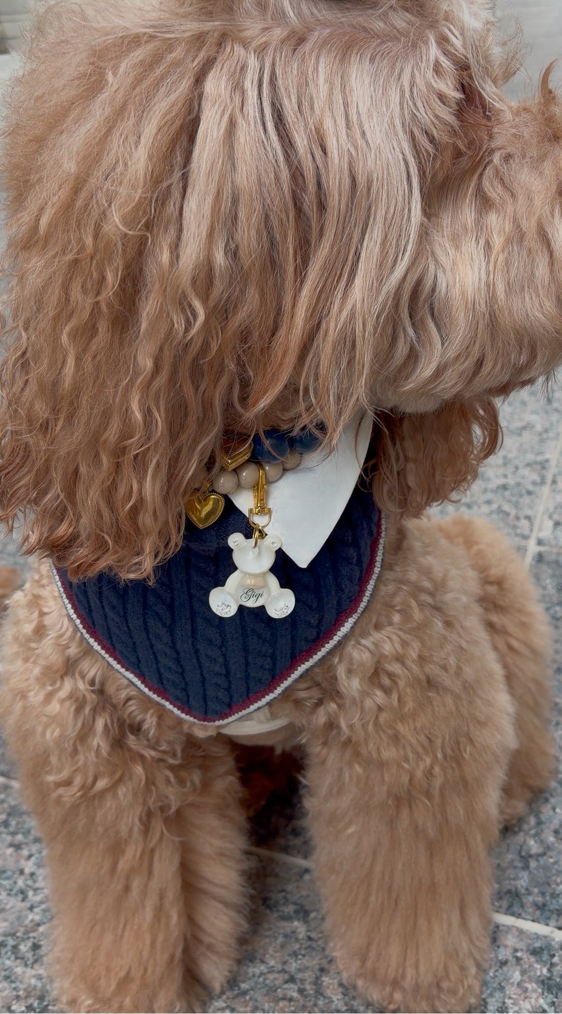 Rhodes Matching Dog Bandana & Women’s Knit Vest Set - Navy