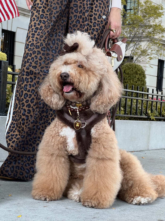 Comfort Furlowe Harness - Mocha