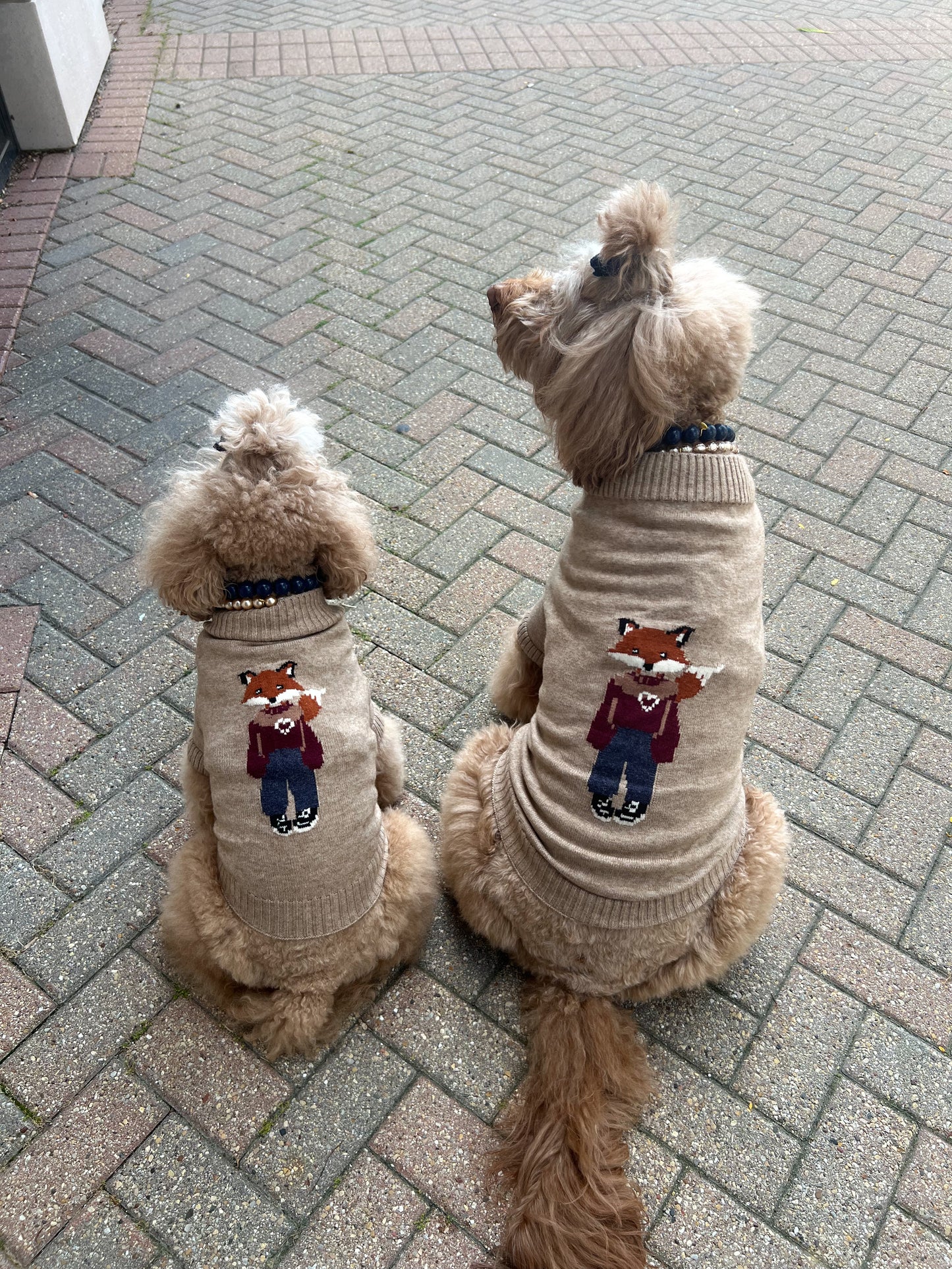Foster the Fox Dog Sweater