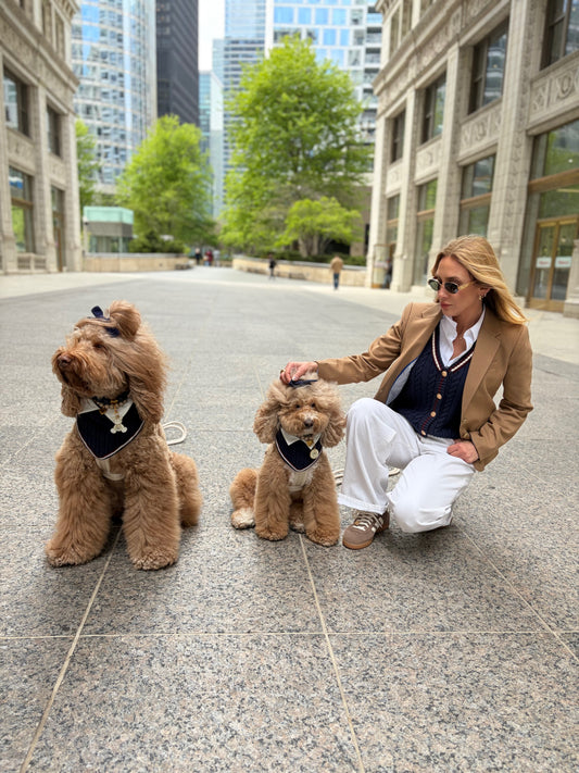 Rhodes Matching Dog Bandana & Women’s Knit Vest Set - Navy