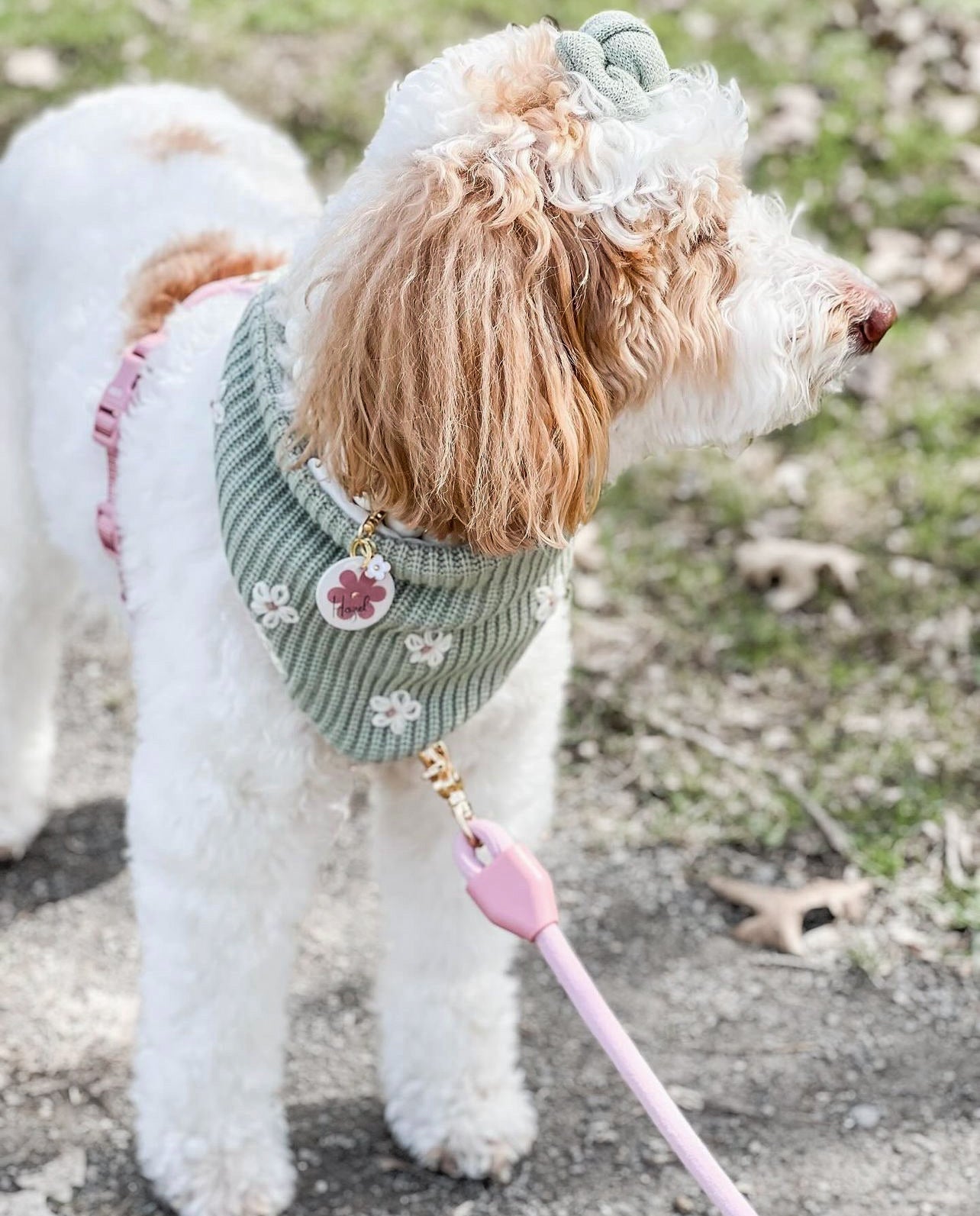 Eloise Sage Reversible Bandana
