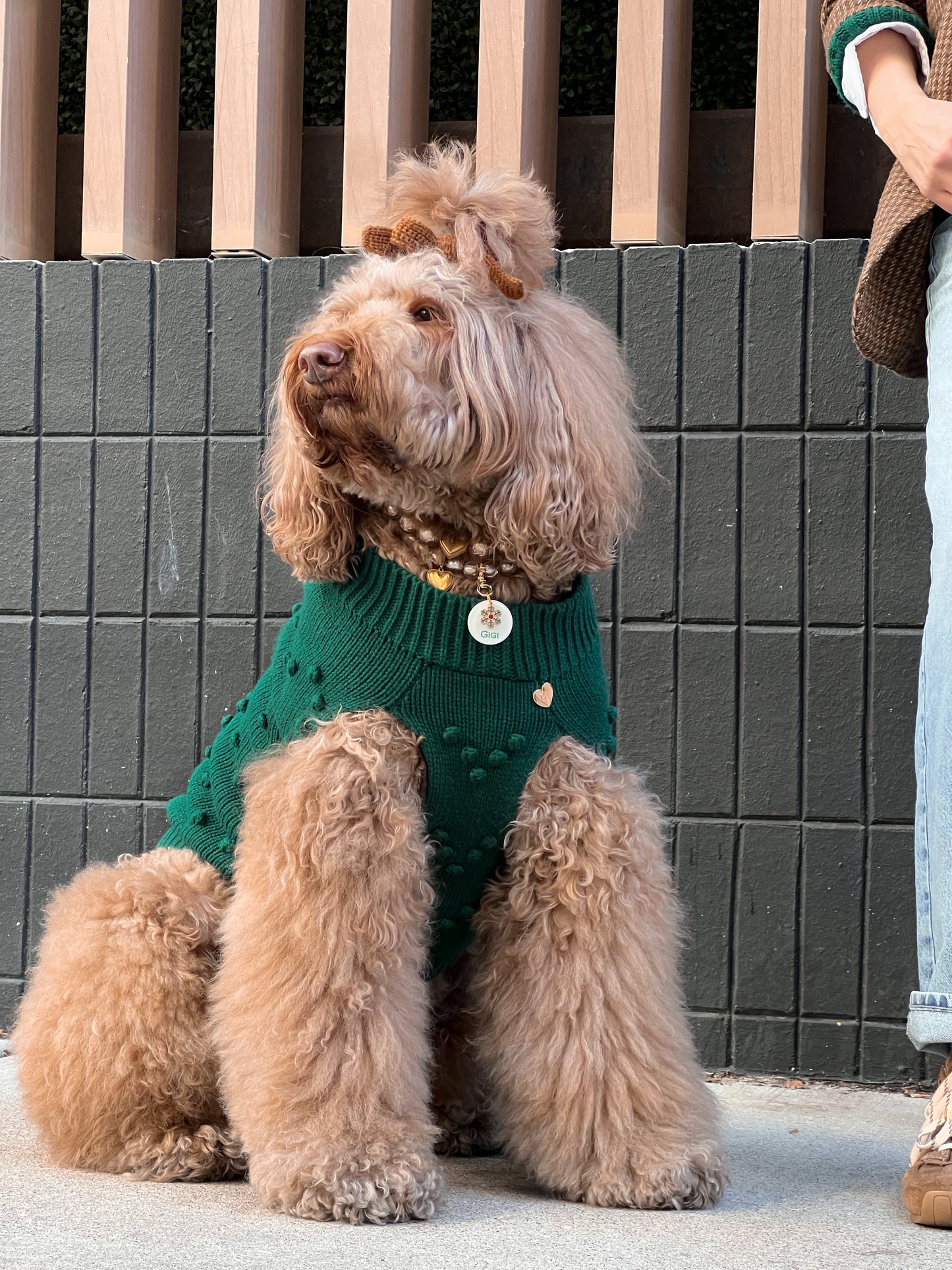 Evergreen Knit Dog Sweater
