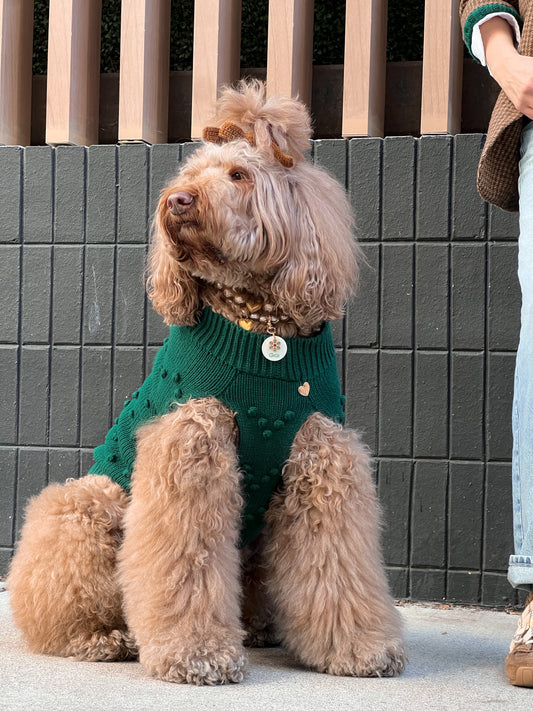 Evergreen Knit Dog Sweater