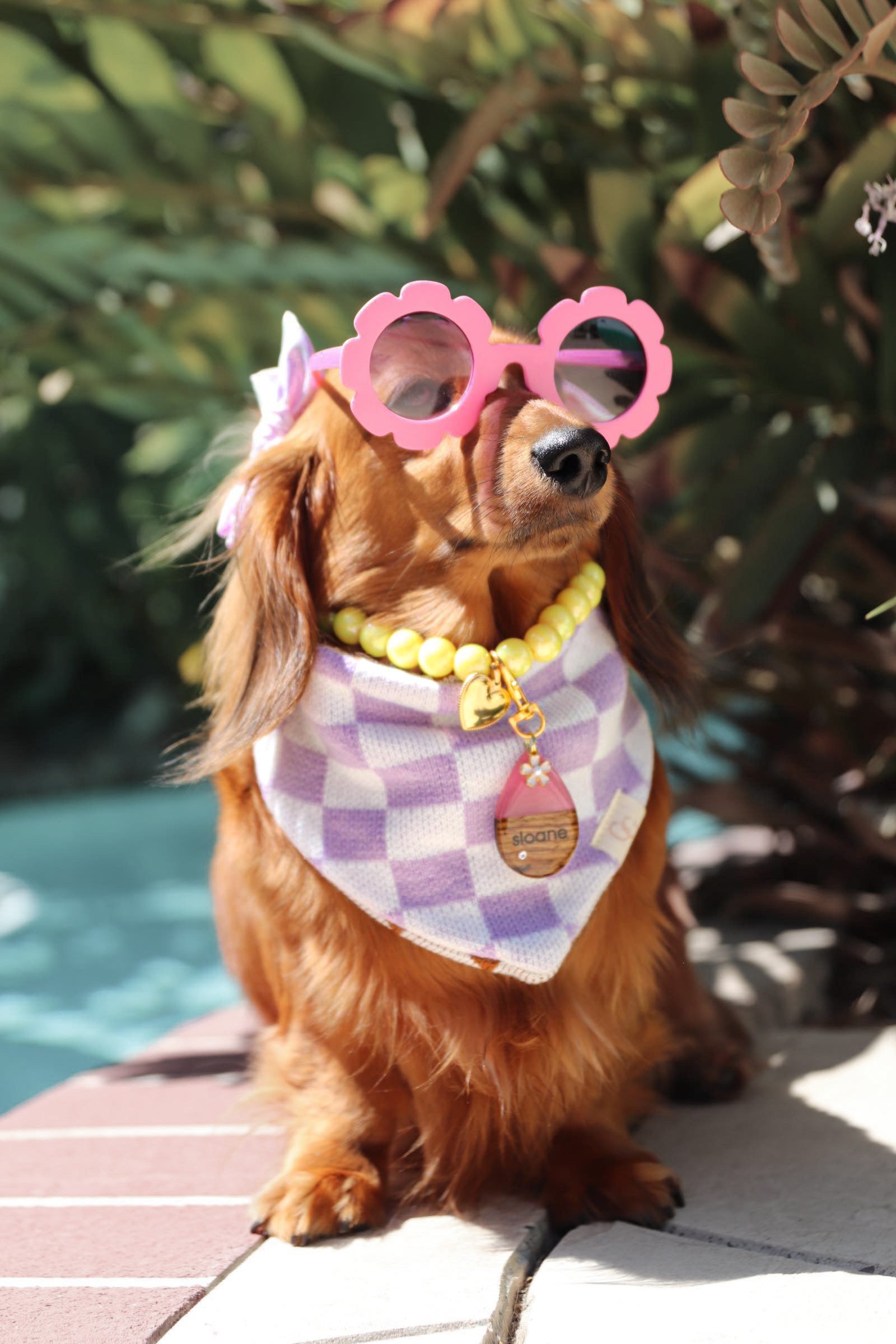Check Yes Or No Reversible Bandana – Pawshion by Gigi