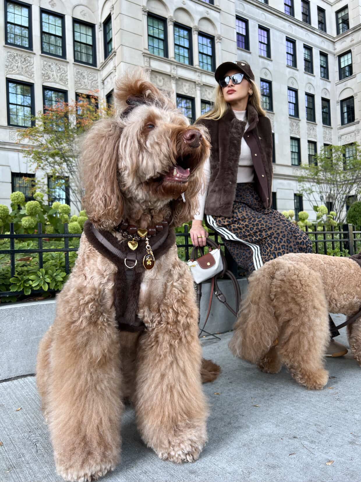 Furlowe Mocha Women's Vest – Pawshion by Gigi