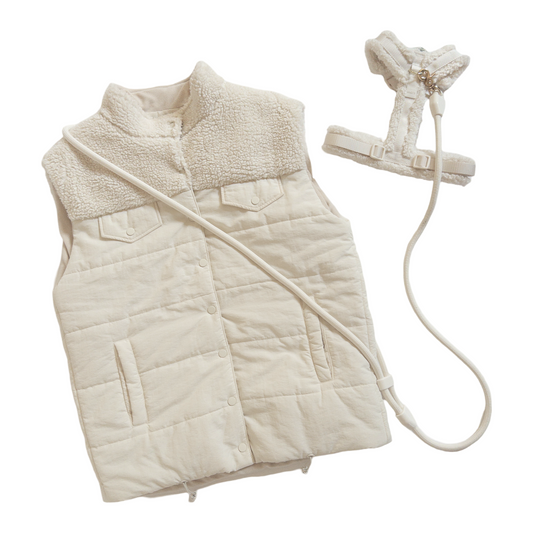 Comfort Teddy Creamy Cloud Signature Bundle