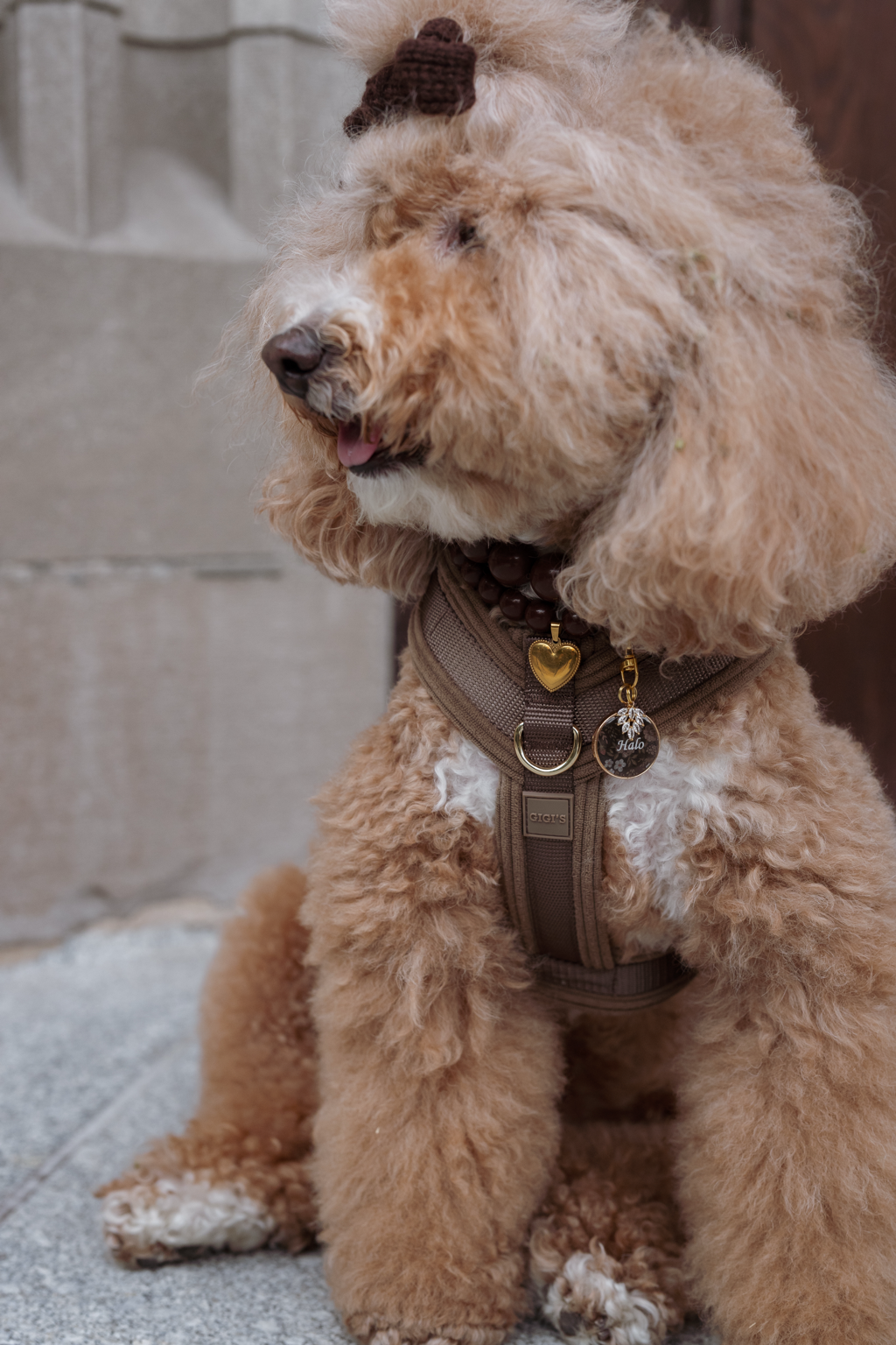 Comfort Sleek Harness - Mushroom