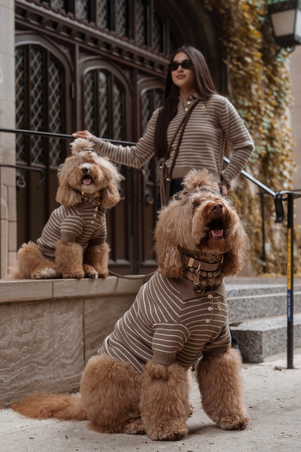 Rowe Knit Polo Set - Mushroom
