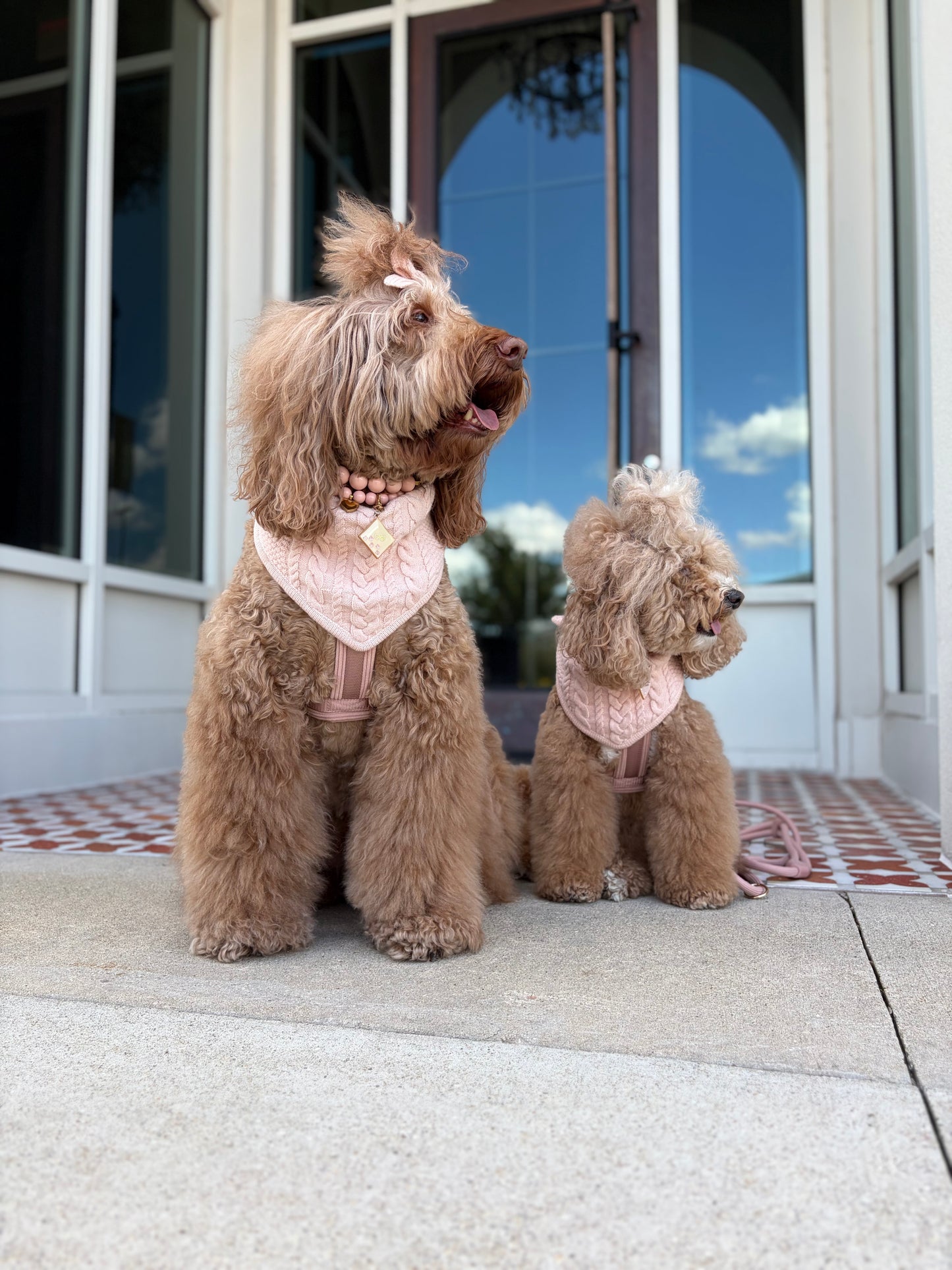 Luelle Reversible Bandana - Nude Blush