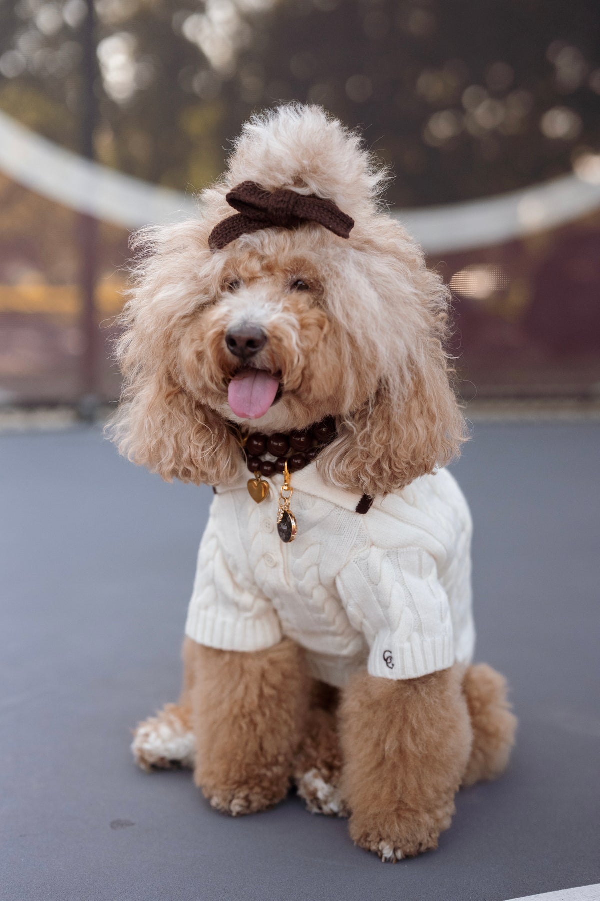 Astor Dog Knit Polo - Ivory