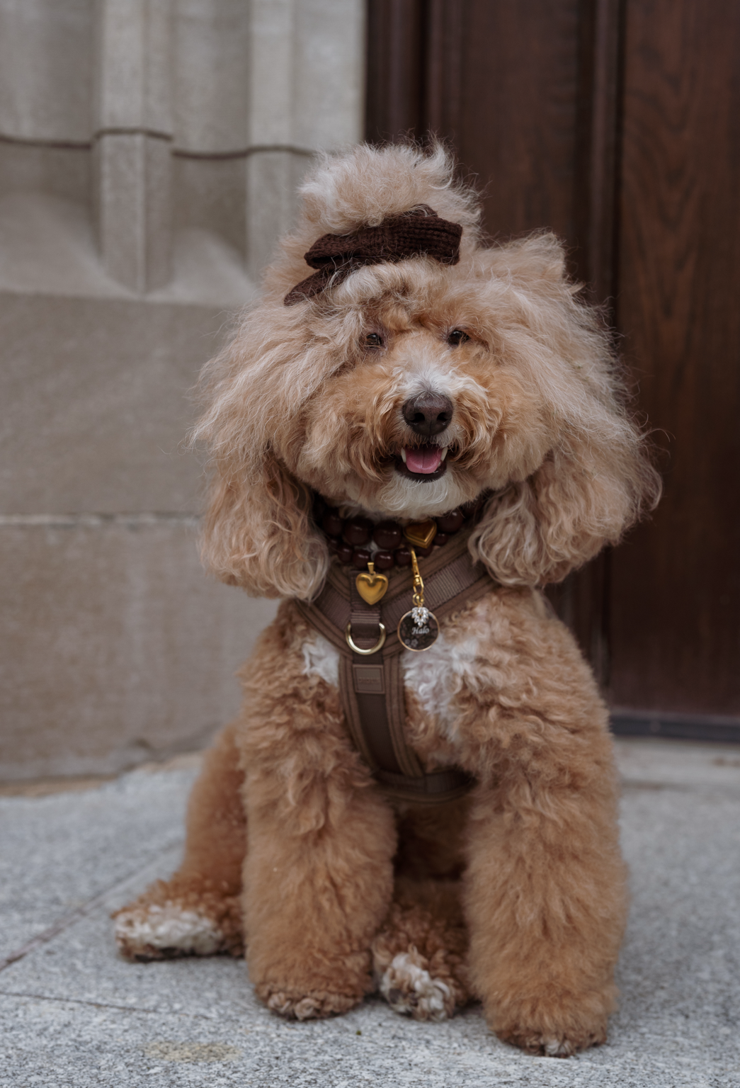 Comfort Sleek Harness - Mushroom