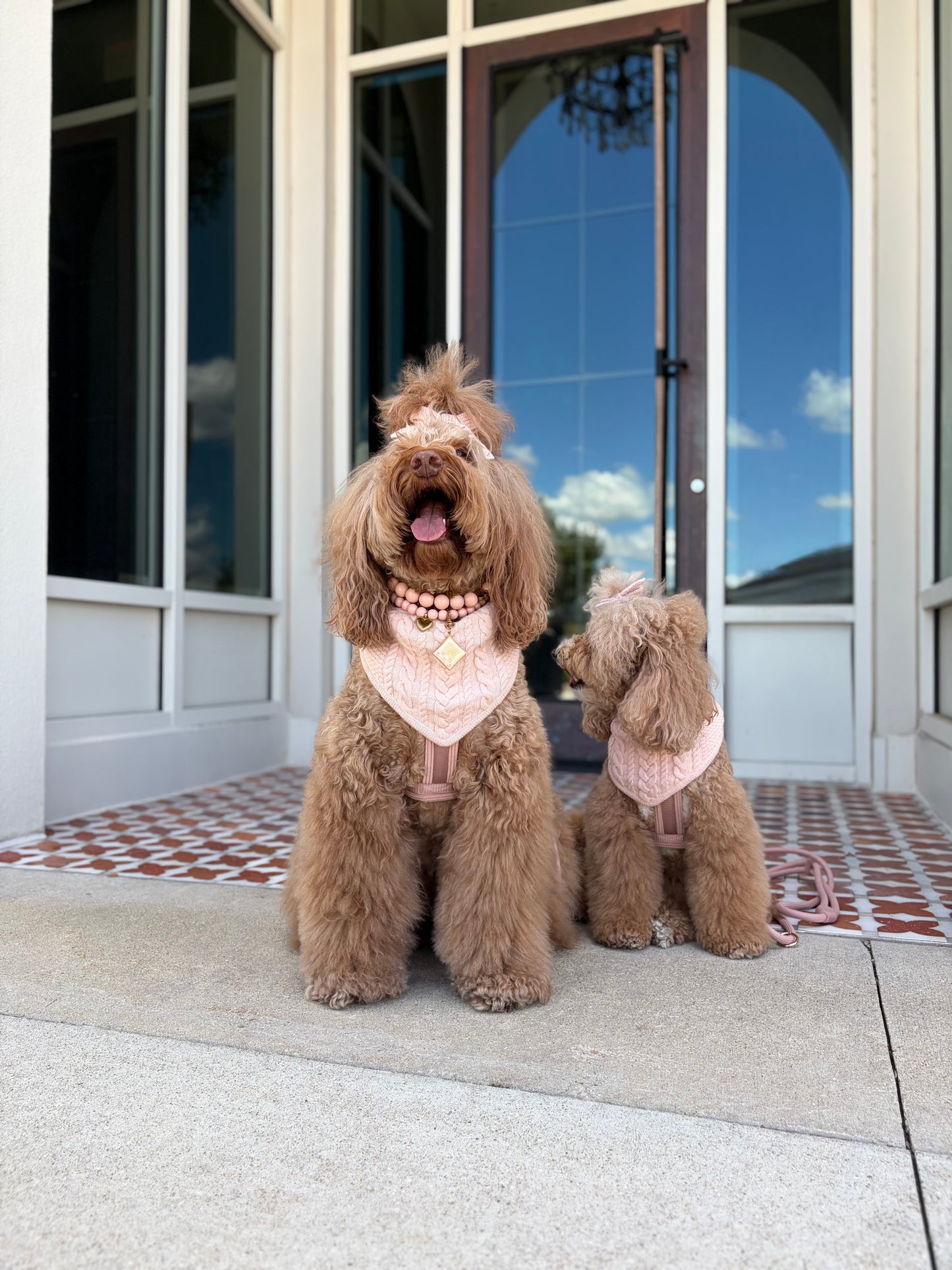 Luelle Reversible Bandana - Nude Blush