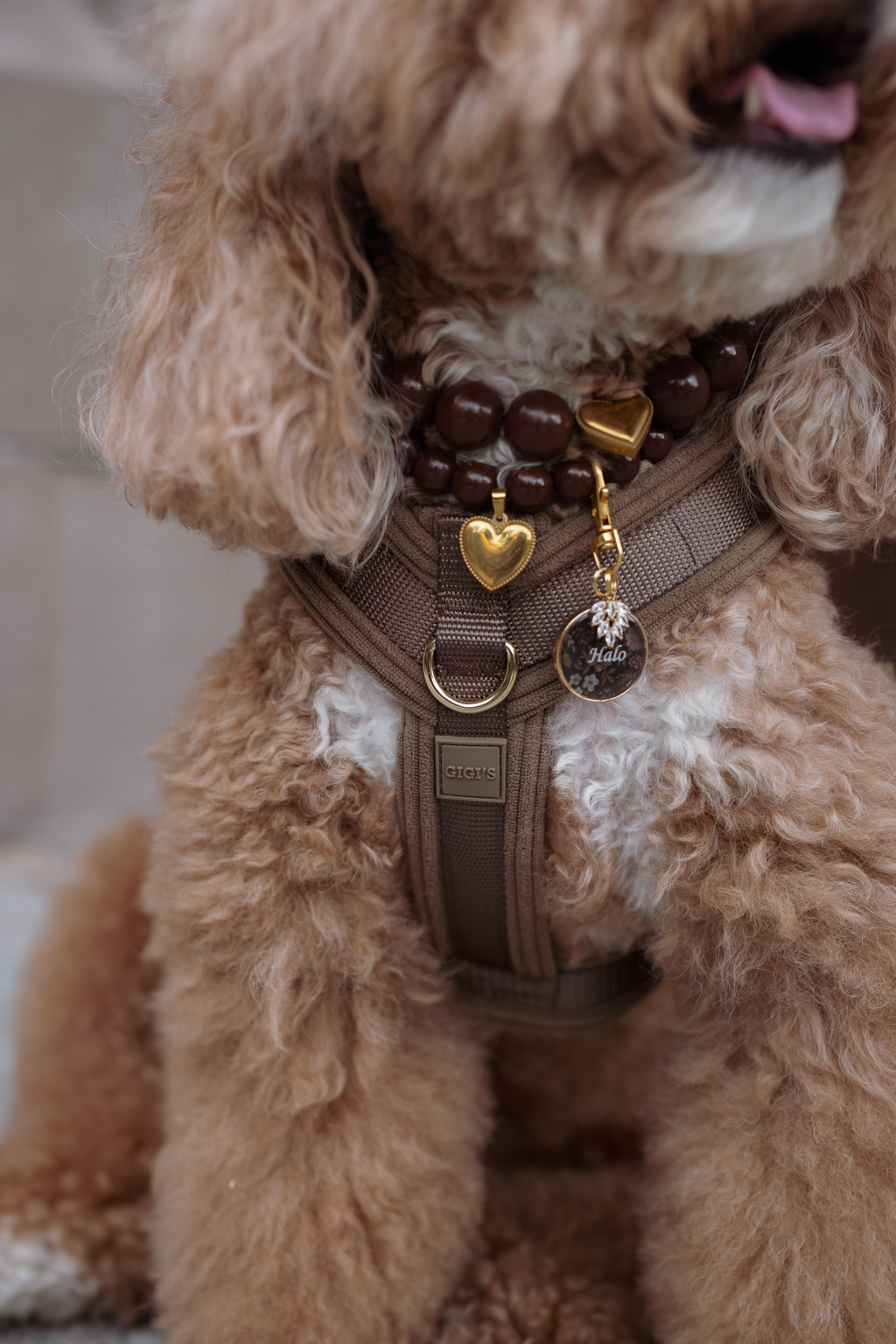 Comfort Sleek Harness - Mushroom