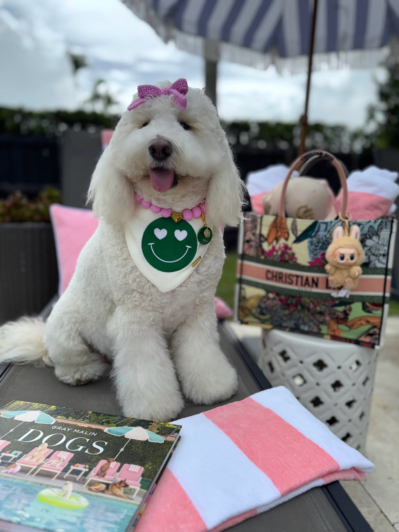 Happy Place Reversible Bandana – Pawshion by Gigi