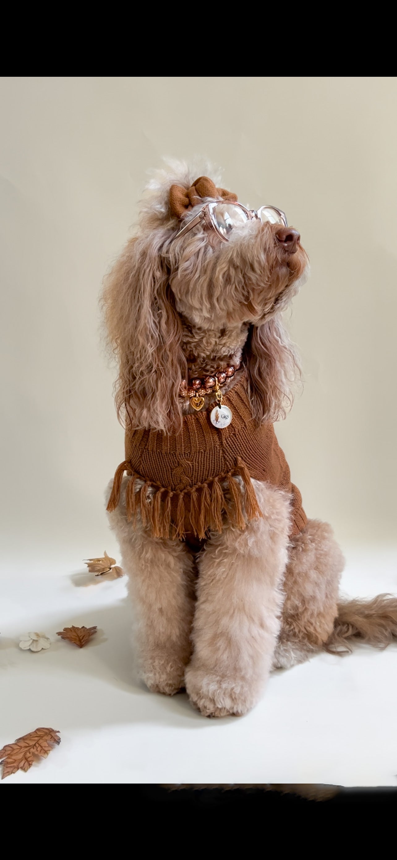 Chocolate Java Sweater – Pawshion by Gigi
