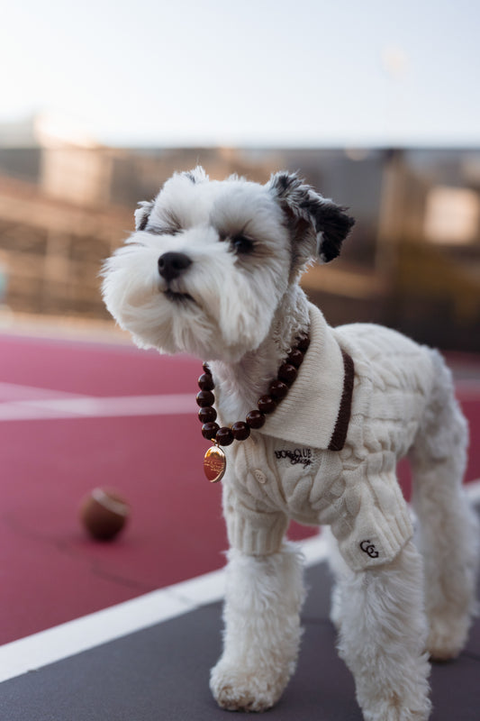 Dog Club Astor Dog Knit Polo – Ivory