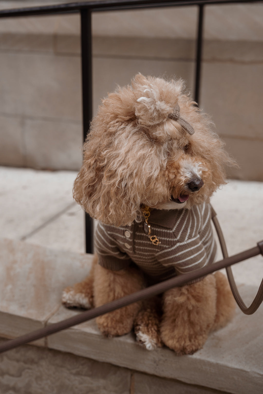 Rowe Dog Knit Polo - Mushroom