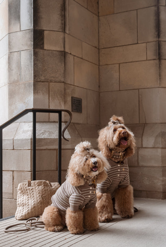 Rowe Dog Knit Polo - Mushroom