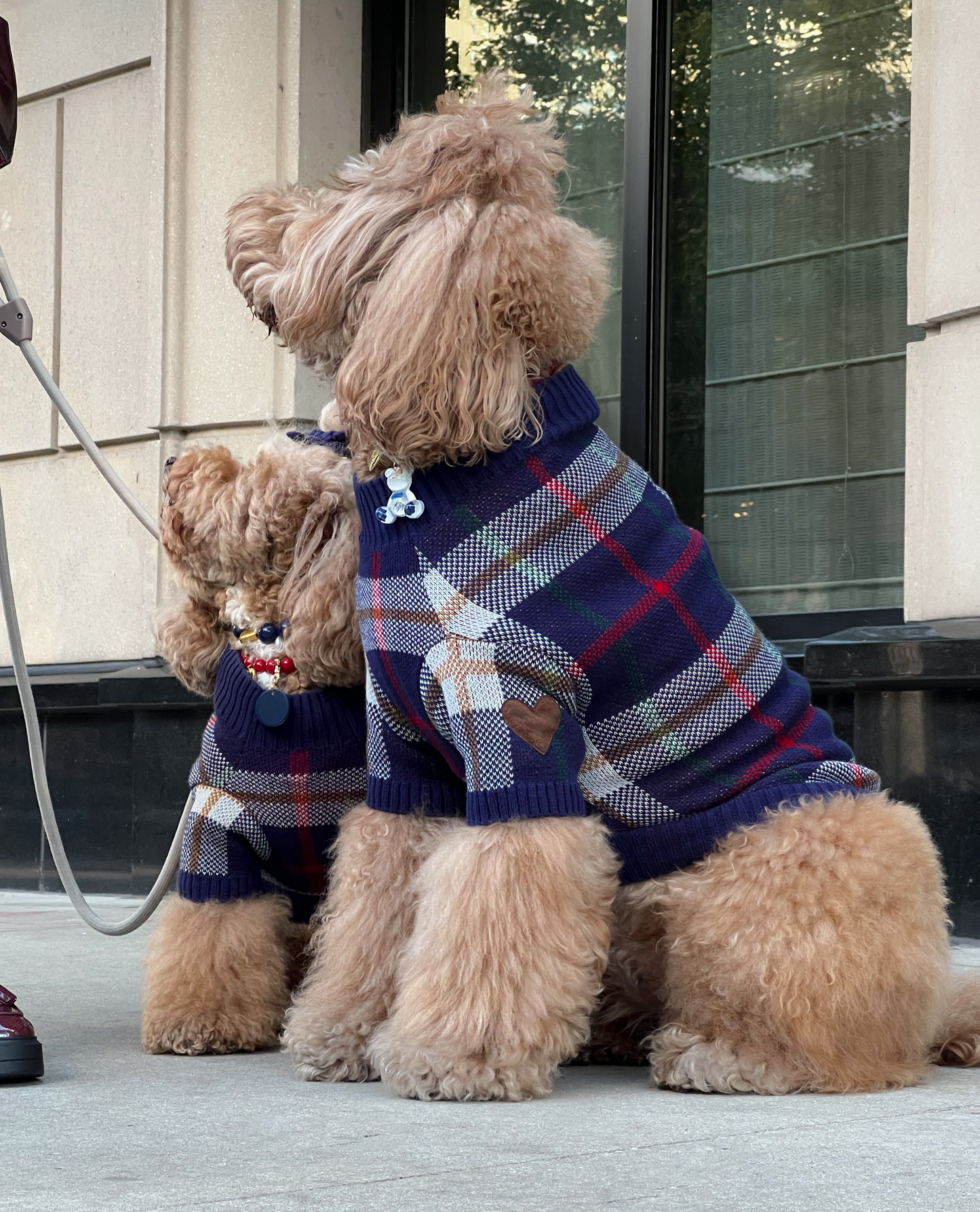 Hearthside Dog Sweater