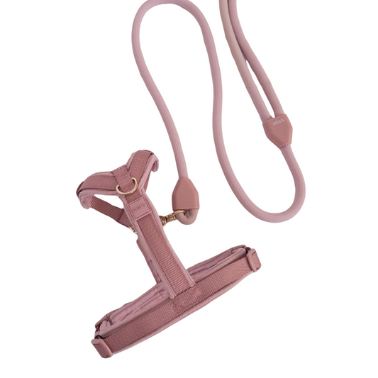 Comfort Sleek Rosy Harness/LeashBundle